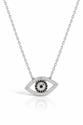 SILVER EYE
