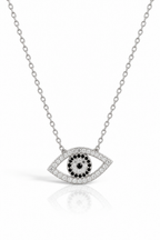 SILVER EYE